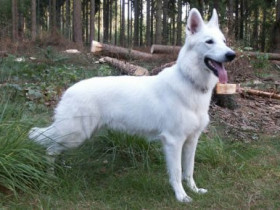 Emo_Girl_14 - Bild 5