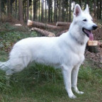 Emo_Girl_14 - Bild 5