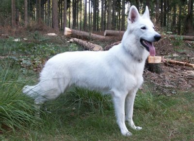 Emo_Girl_14 - Bild 5