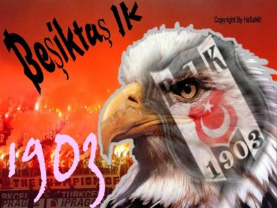 nickolai - Bild 5