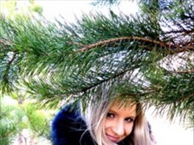 Margaritka - Bild 1