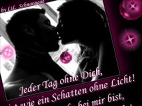 xsonnenscheinx12 - Bild 3