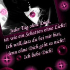 xsonnenscheinx12 - Bild 3