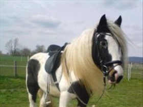 Countrygirl - Bild 5