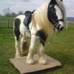 Countrygirl - Bild 5