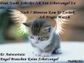 robby0605 - Bild 3