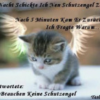 robby0605 - Bild 3