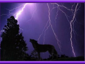 WolfHunter2004 - Bild 7