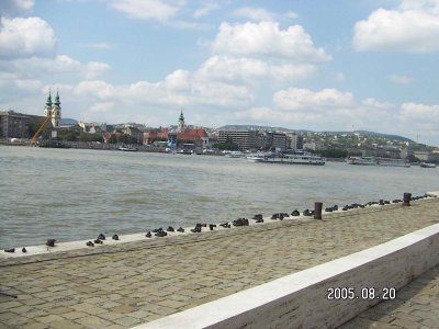 hajnalka - Bild 2