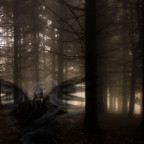 RockLee - Bild 5