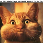 ..s.Oliver.. - Bild 2