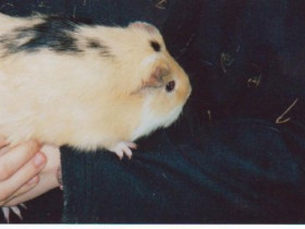elisabethvrh - Bild 4