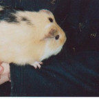 elisabethvrh - Bild 4
