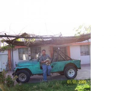 LatinoM - Bild 1