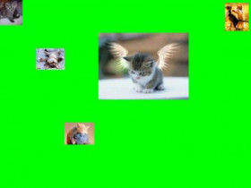 Ashley - Bild 5