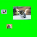 Ashley - Bild 5