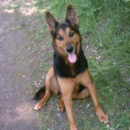 lemmy - Bild 4