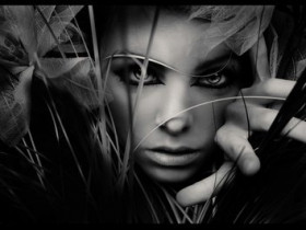 x_Habnix_x - Bild 3