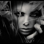 x_Habnix_x - Bild 3