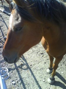 nevio4ever12 - Bild 10