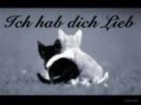 zigge - Bild 5
