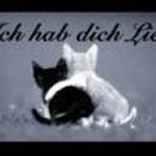 zigge - Bild 5
