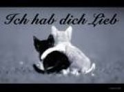 zigge - Bild 5