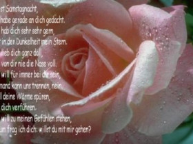 filox4 - Bild 3