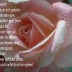 filox4 - Bild 3
