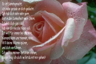 filox4 - Bild 3