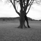 NetZwerg - Bild 5