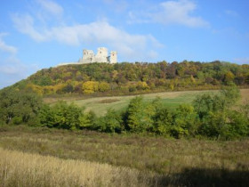 bocekocsi - Bild 4