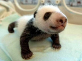 made-in-china - Bild 4