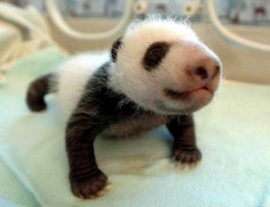 made-in-china - Bild 4