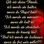 Nevioline - Bild 9