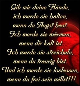 Nevioline - Bild 9