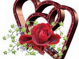 Tinalady - Bild 9