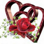 Tinalady - Bild 9