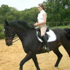 metal-horse - Bild 4