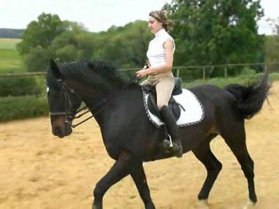 metal-horse - Bild 4