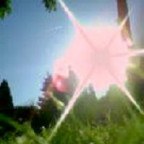 Cherry09 - Bild 10