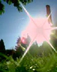 Cherry09 - Bild 10