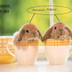 hammerman - Bild 3