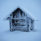 Sophie_w - Bild 4