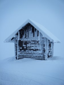 Sophie_w - Bild 4