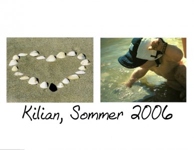 schelfi - Bild 5