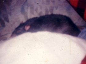 kymbl - Bild 3