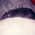 kymbl - Bild 3
