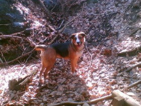 Sweety_16 - Bild 4