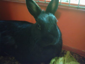 sunny439 - Bild 2